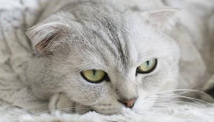 九游客户端：一站式掌上手游新体验