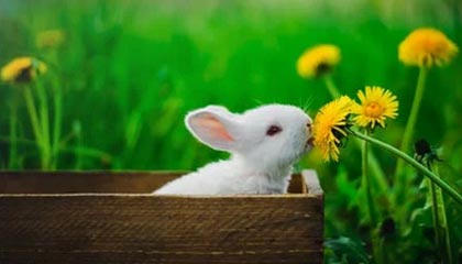 九游客户端：一站式掌上手游新体验